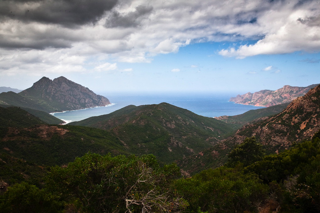 La Revellata, Calvi